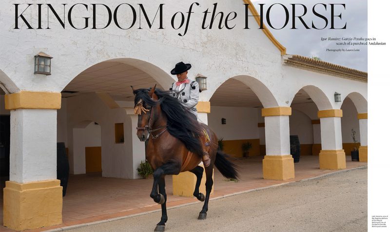 648_Igor_Horses_PRESS-1 copia